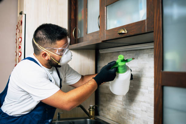 Best Ant Control Services  in Akron, OH