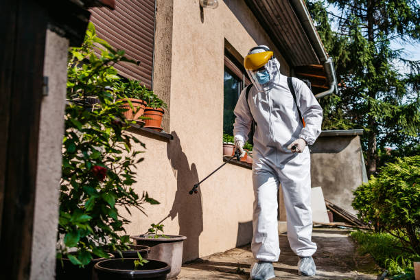 Best Mosquito Control Services  in Akron, OH
