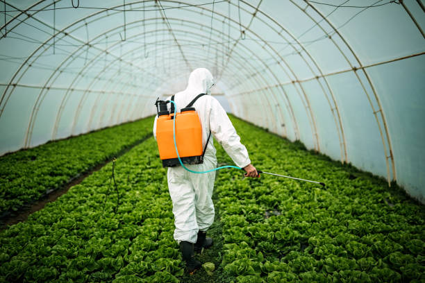 Reliable Akron, OH Pest Control Solutions