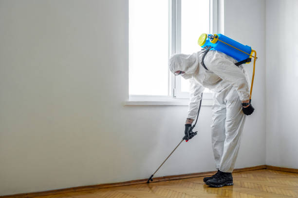 Best Pest Removal Services  in Akron, OH