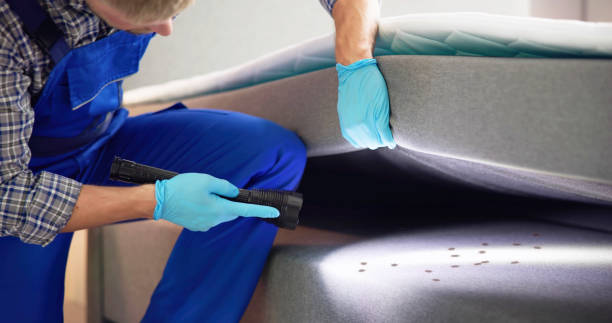 Best Pest Prevention Services  in Akron, OH