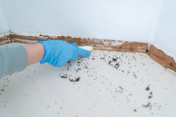 Best Wildlife Control Services  in Akron, OH
