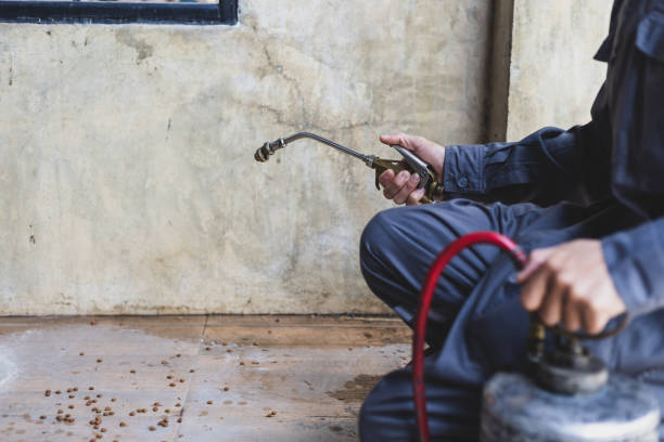 Best Best Pest Control Companies  in Akron, OH
