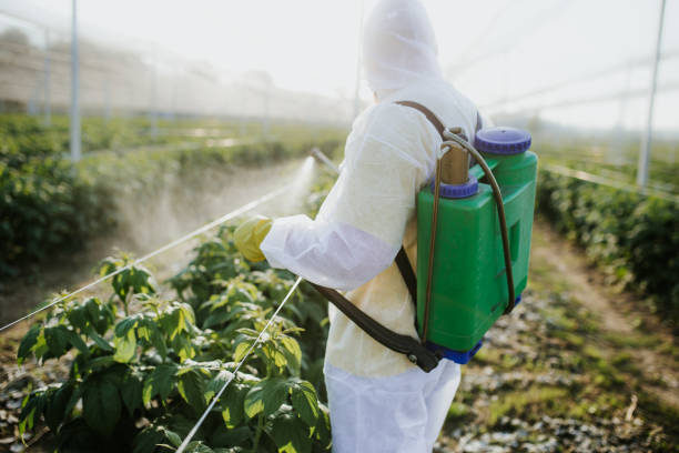 Best Affordable Pest Control Services  in Akron, OH